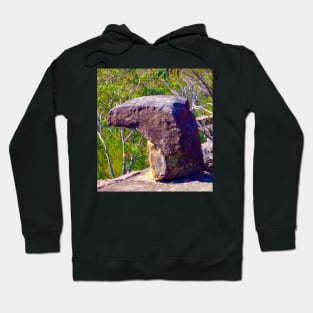 The Head of an Eagle! Hoodie